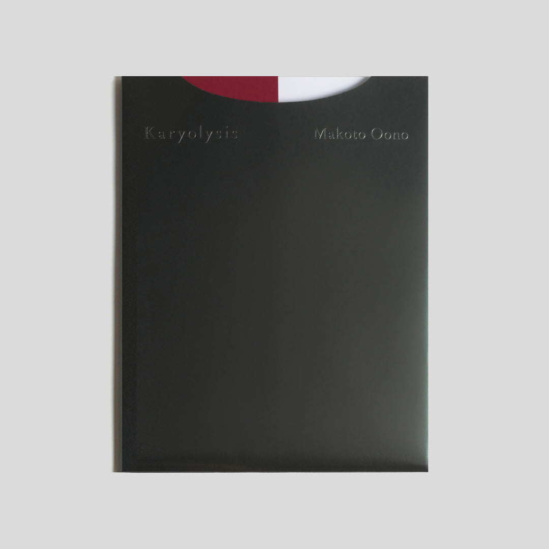 Karyolysis / Makoto Oono
