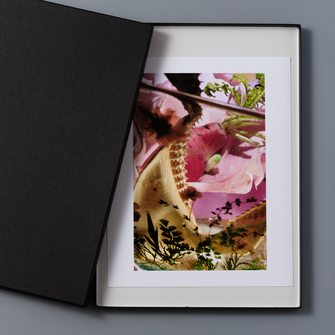 Karyolysis Print Edition 2 / Makoto Oono