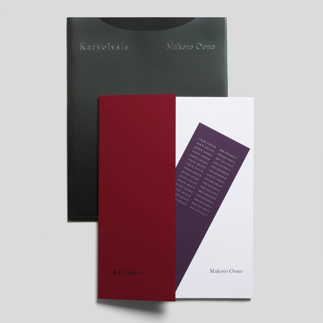 Karyolysis / Makoto Oono