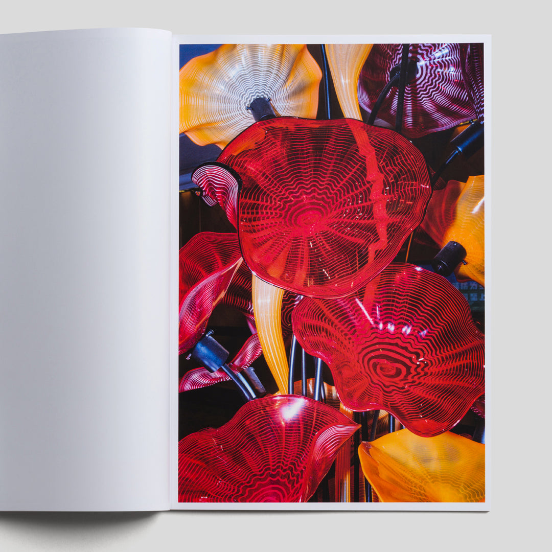 Karyolysis / Makoto Oono