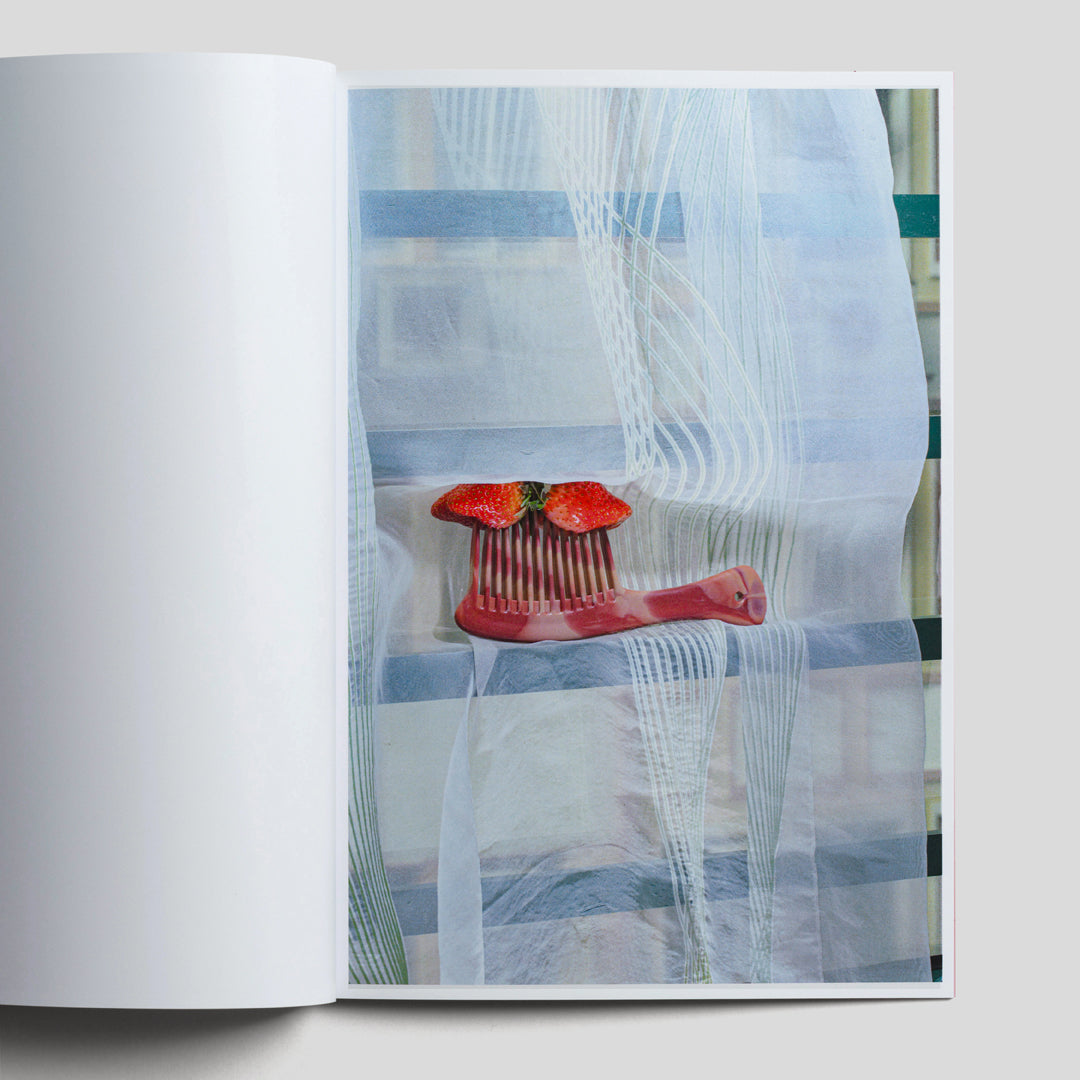 Karyolysis / Makoto Oono