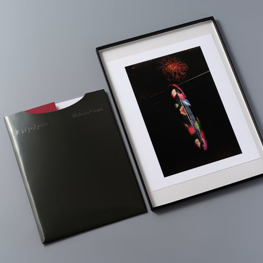 Karyolysis Print Edition 1 / Makoto Oono