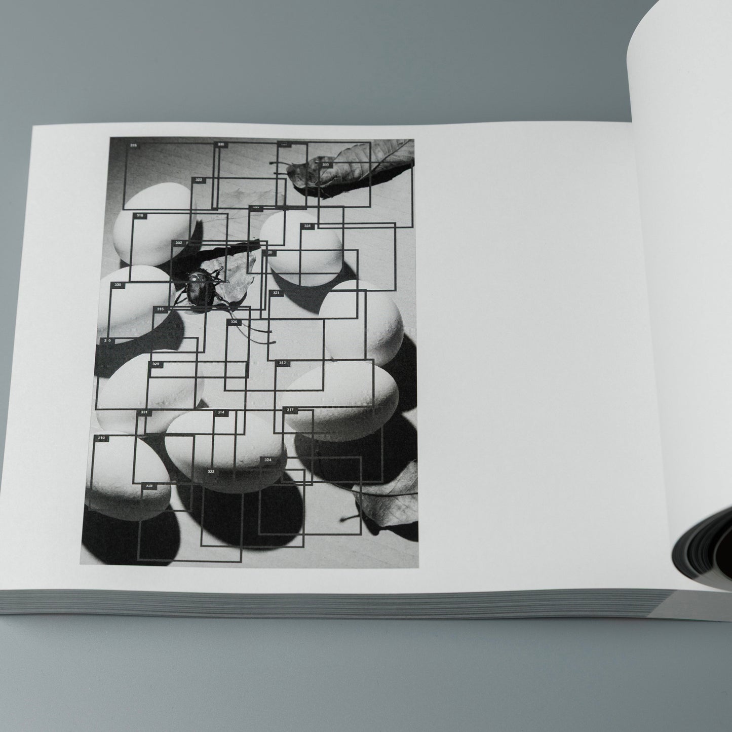 Cell metamorphose / Makoto Oono