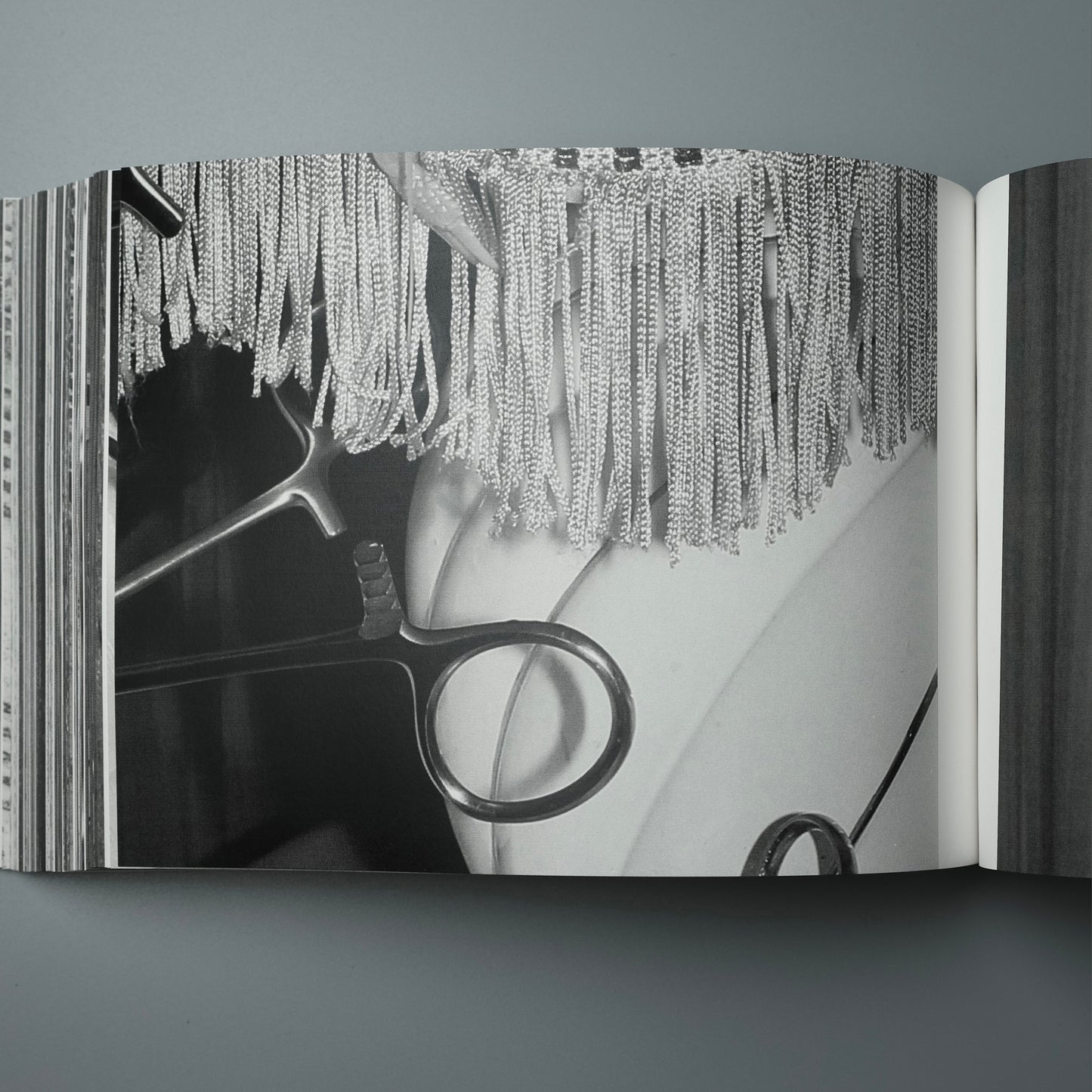 Cell metamorphose / Makoto Oono